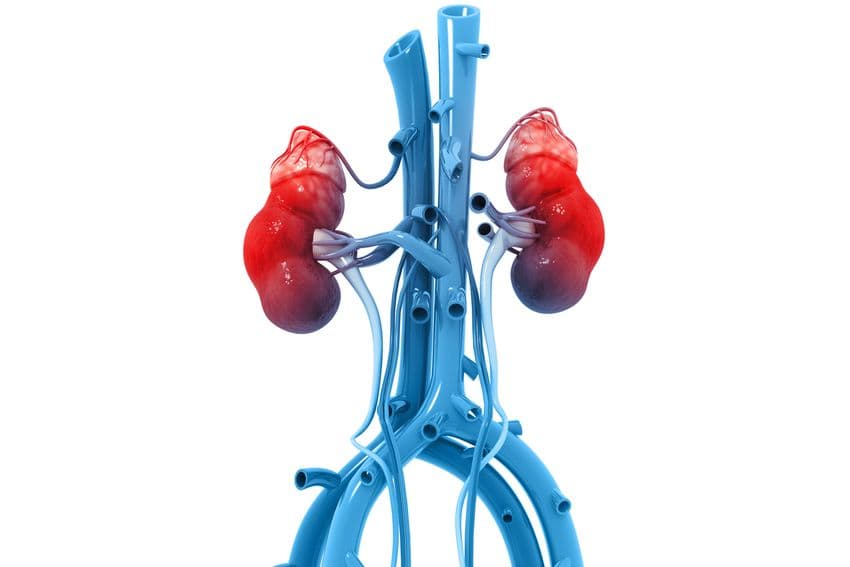 Robotassistert ureter-ureterostomi for ureterstiktur 