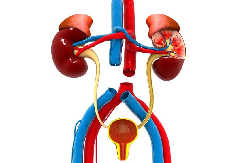 Robotassistert ureter re-implantasjon am Lich-Gregoir